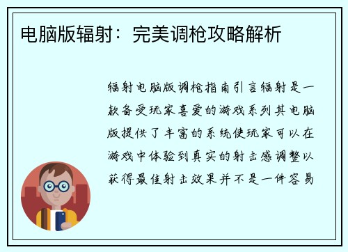 电脑版辐射：完美调枪攻略解析